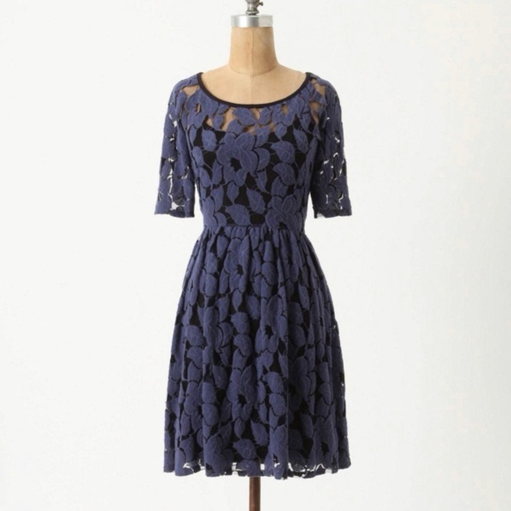 Anthropologie Navy and Black Floral Lace Fit and Flare Dress